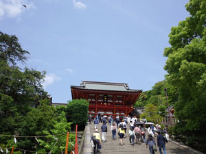 鎌倉8